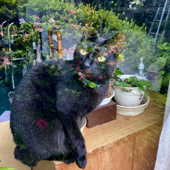 3eca8c24 6776 4f7c 8b43 4429c2bc18d9 1655162812740