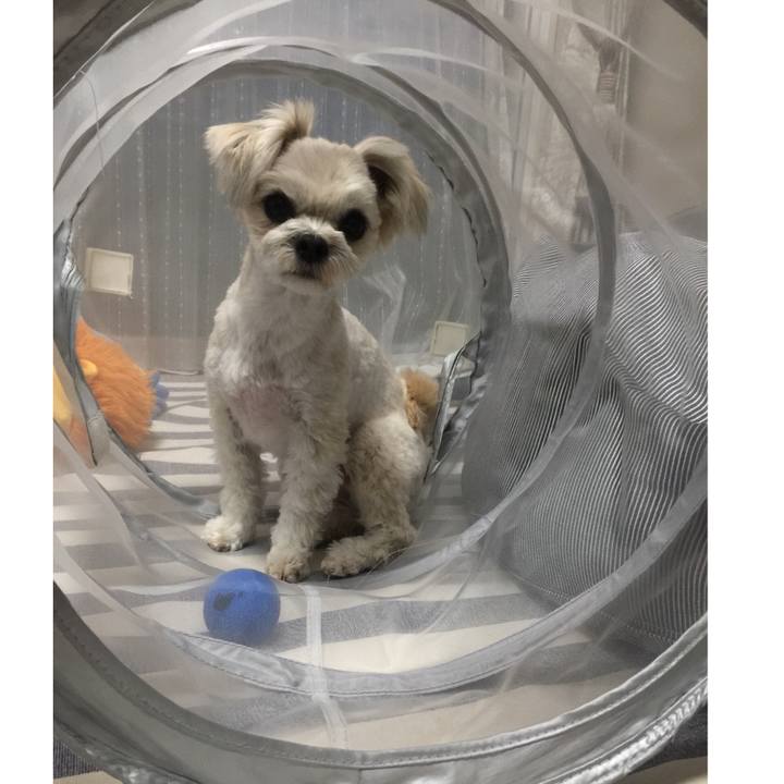 3eca9569 265a 42be a6d0 e3cee5e71cac 1520420445641