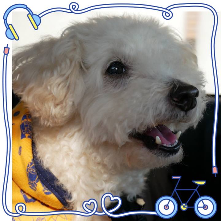 3ecae2ba 5f58 4da0 95ab 4a2ca697a8b6 1518749242045