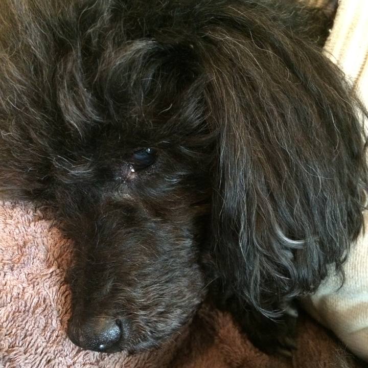 3ecb5da6 7cc5 4318 af52 f0817f158f95 1548648331727