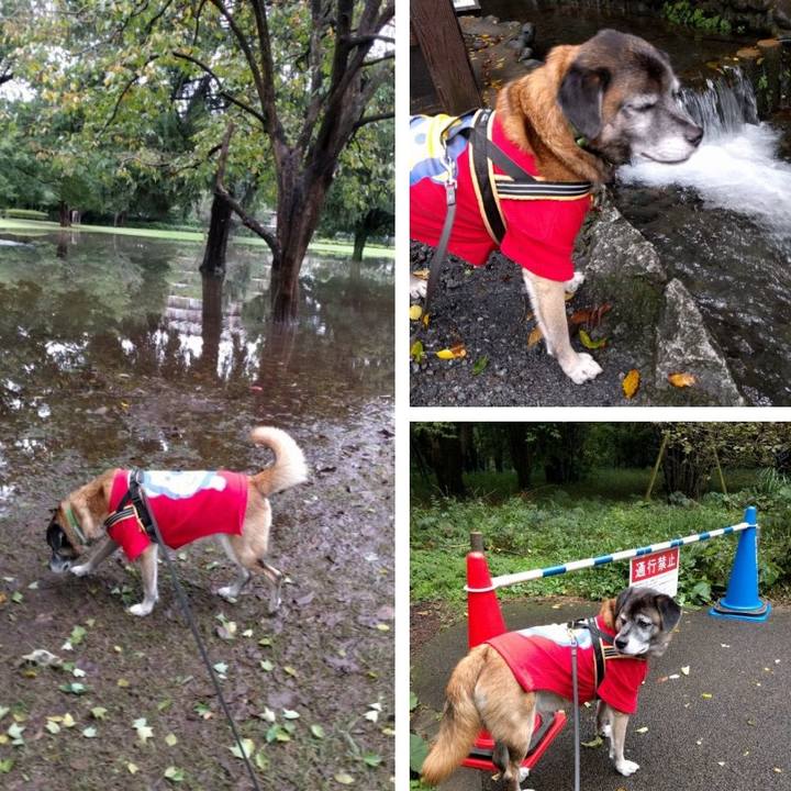 3ecb6017 8bf1 4bbe b09c ebb8dae9056b 1508719275435