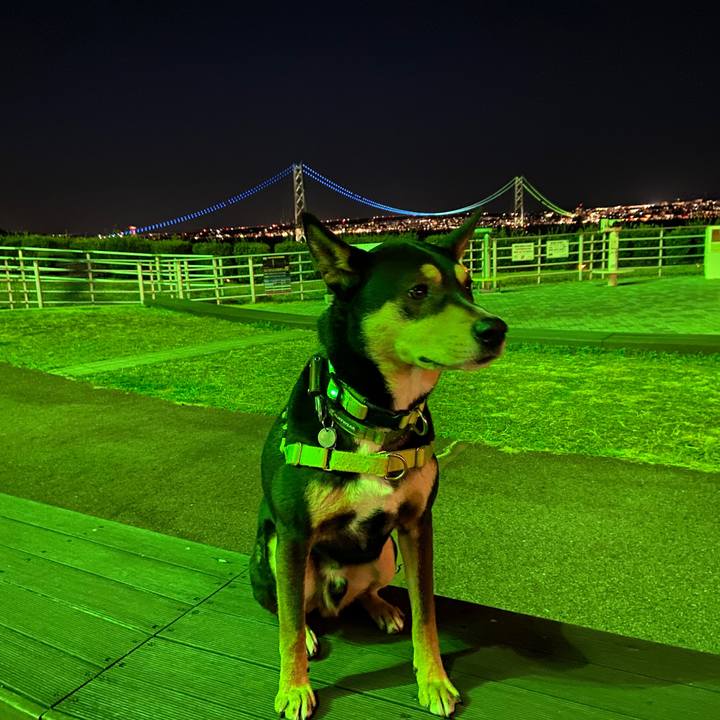 3ecb6f67 3370 4959 8625 a81e7ddea52c 1644754428758