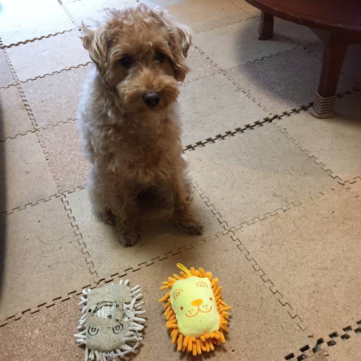 3ecb8b53 24c2 4d5b a350 bb959bc5b7ea 1522573379580