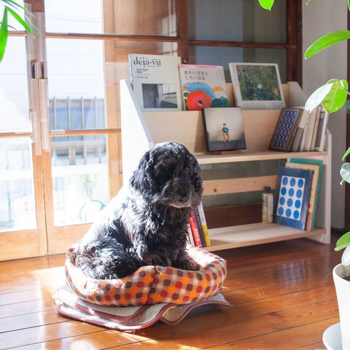 3ecbc745 9b69 4de9 9045 cfeed57ab2df 1547727252202