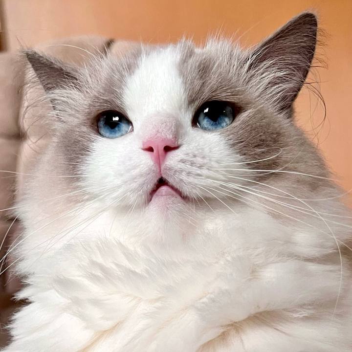 3ecbefea 3189 4c11 928b 0f958611c8cb 1724533313000