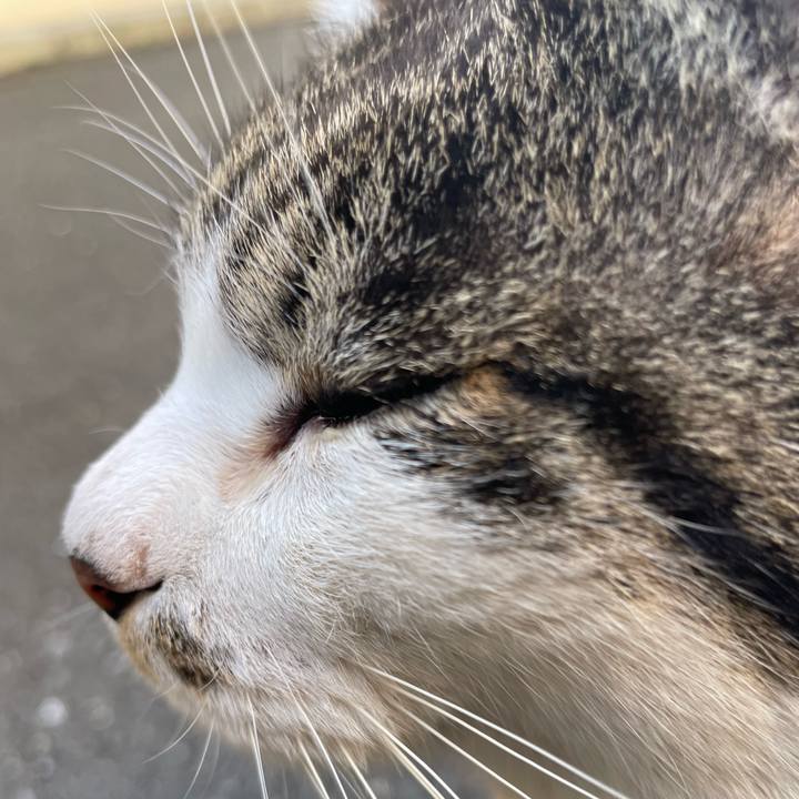 3ecbf8fc da6c 4ec9 9342 24fbadf20896 1672056363848