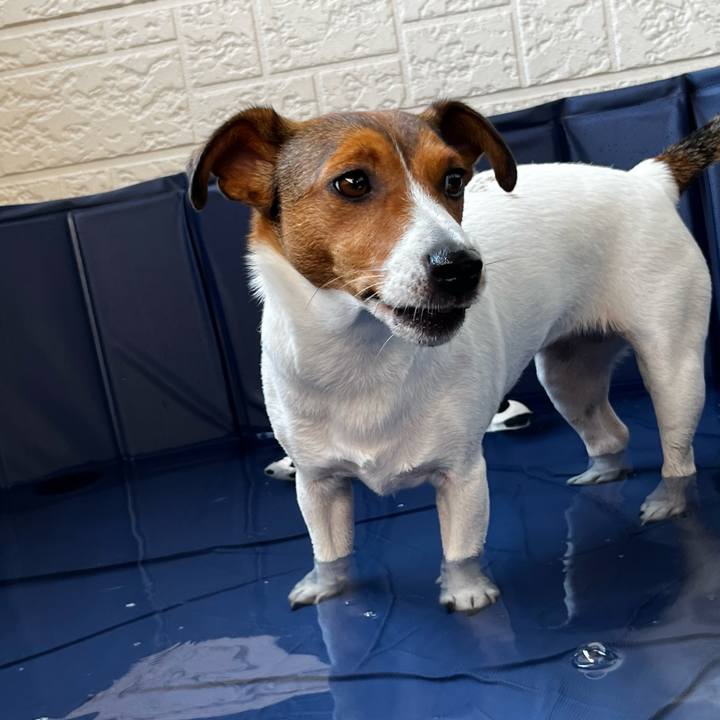 3ecbfb83 db33 43cf be74 e747b13af81d 1753790152045