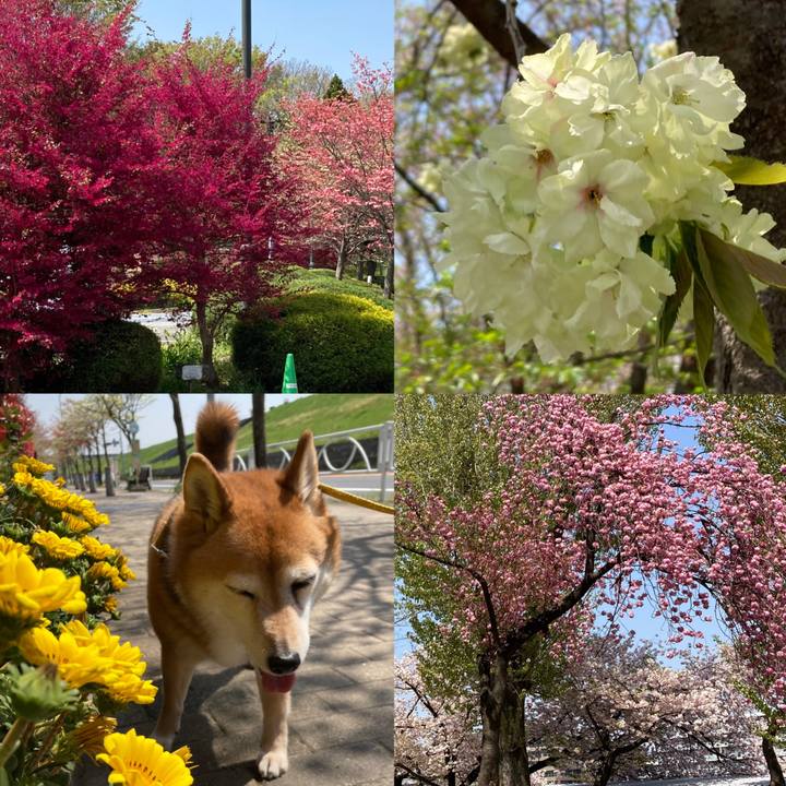 3ecc0e12 0d88 45ac 9015 00de0b84ab9d 1649735066808