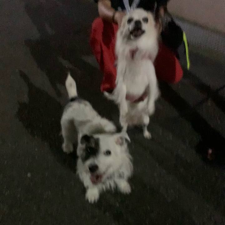 3ecc310c 4523 4103 b8bf e942f8971b44 1664799696513