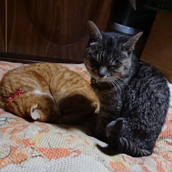 3ecc7131 f32f 484f 90db 2aa6febb066d 1577448689102