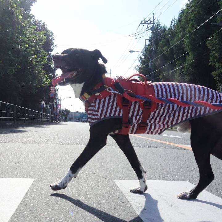 3ecc8f77 9551 462b 9086 8ceee22b1777 1596325556446