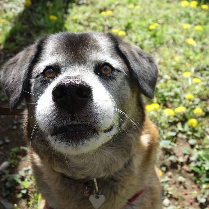 3eccaaaa 4377 4895 babd 621dbbaab9f7 1523068229374