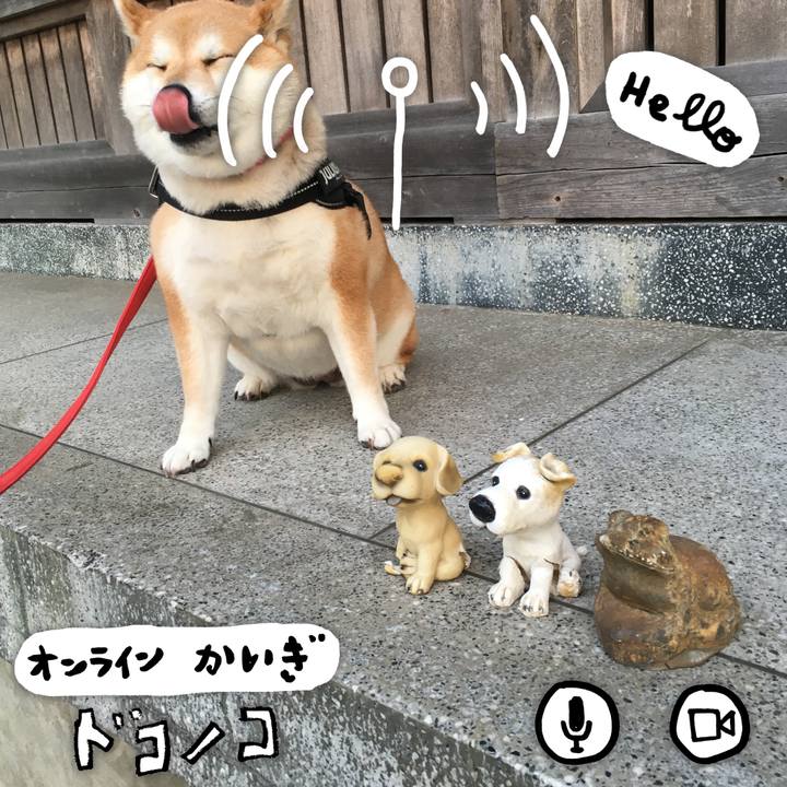 3eccb400 3a93 41cf bf0b 9778bf4ea802 1590746158308