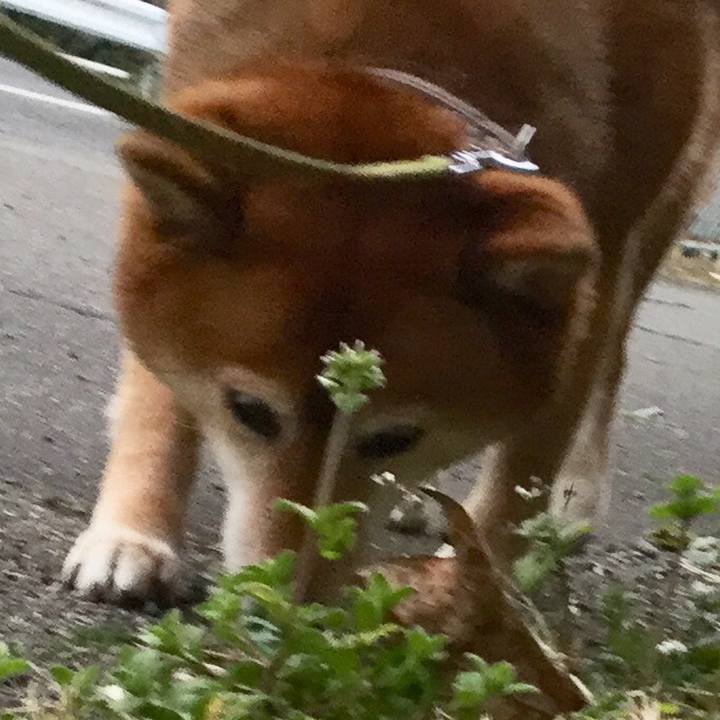 3eccb9c2 c6ca 40a5 897b 95b835c73fe6 1582635406136