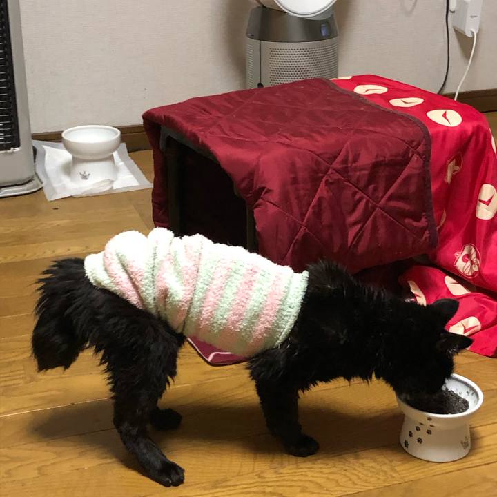 3ecd006a 964f 495d 983c 79fd39958196 1649161199882