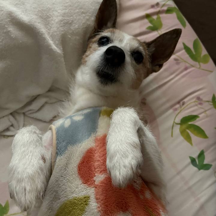 3ecd0685 7455 4cdd bbe5 478583ce8092 1747697134475