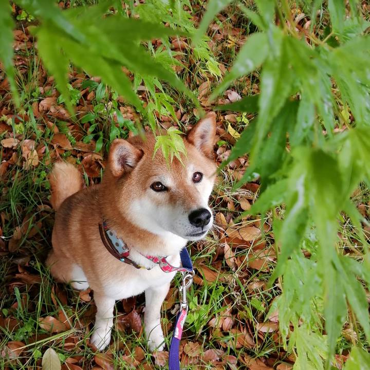 3ecd4135 6cfc 417b a0a8 98a90e05e86b 1651909848518