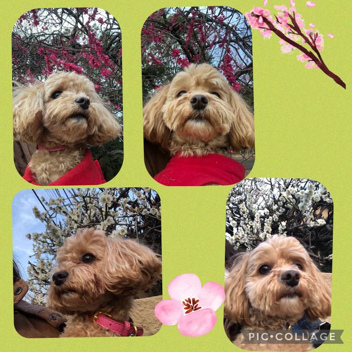 3ecd5a11 c342 43fa b3a0 58aee4107c12 1677961717596