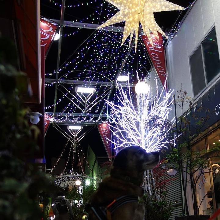 3ecdd259 db05 4f5a 9c38 010063e3e269 1514038033598