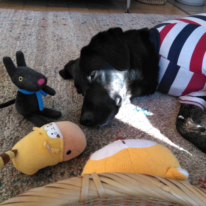 3ecdebf1 c4e3 47d9 8187 2094b6f11503 1582414624250