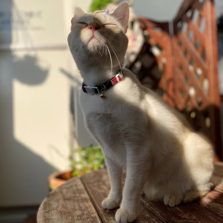 3ecdec31 42aa 4e1e a4cd 1e4ec74d4ef8 1641173333197