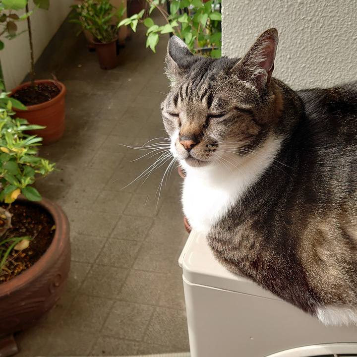 3ecdf009 1af1 4a1c 8a2e 7e643699cd23 1655800464611