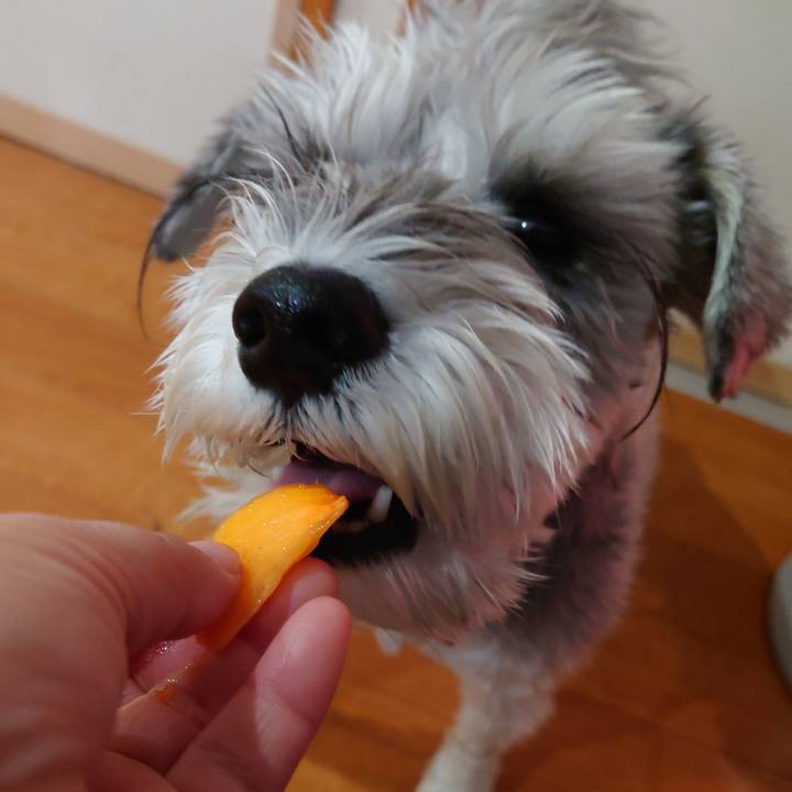 3ece2796 65b8 4630 97fc 7e7a168c06e4 1764892609499