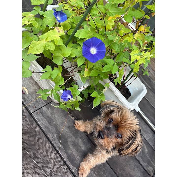 3ece49a3 47a0 410d abfc 525207e55057 1757373422761