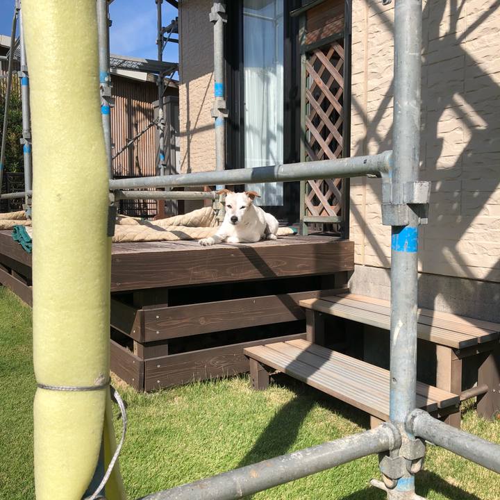 3ece590e a509 4002 993e eca93b421de8 1539824656592