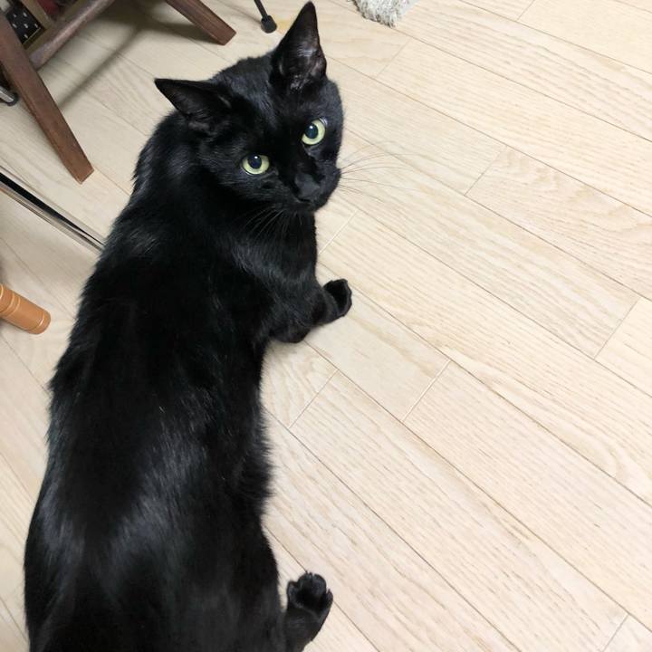 3ece5cdf 63b1 4b63 933e b963ba84cfe8 1638452477664