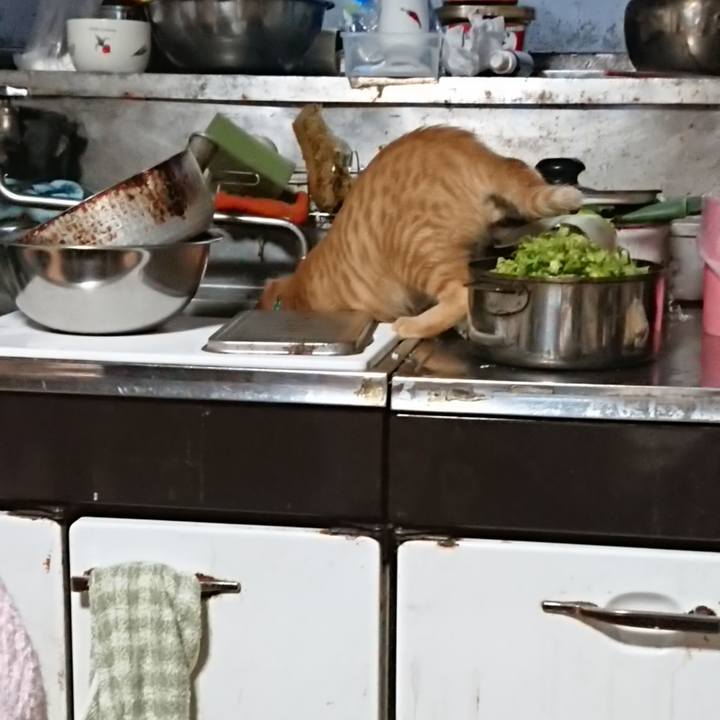 3ece5d7c 2ee4 4104 9889 b2a0fa307ad7 1634158294187