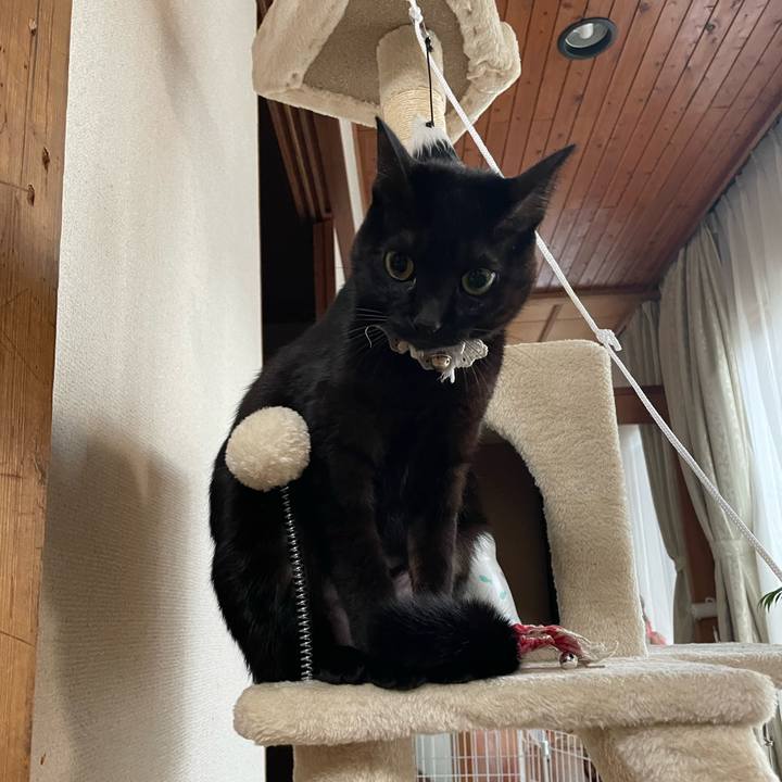 3ece8f7e eb2e 4293 bf23 5f1a016f2aa4 1672146648936