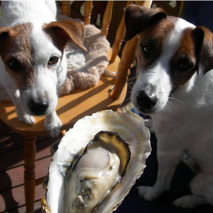 3ece9c03 5e2b 4b33 be1d e39c528b66ae 1611298723735