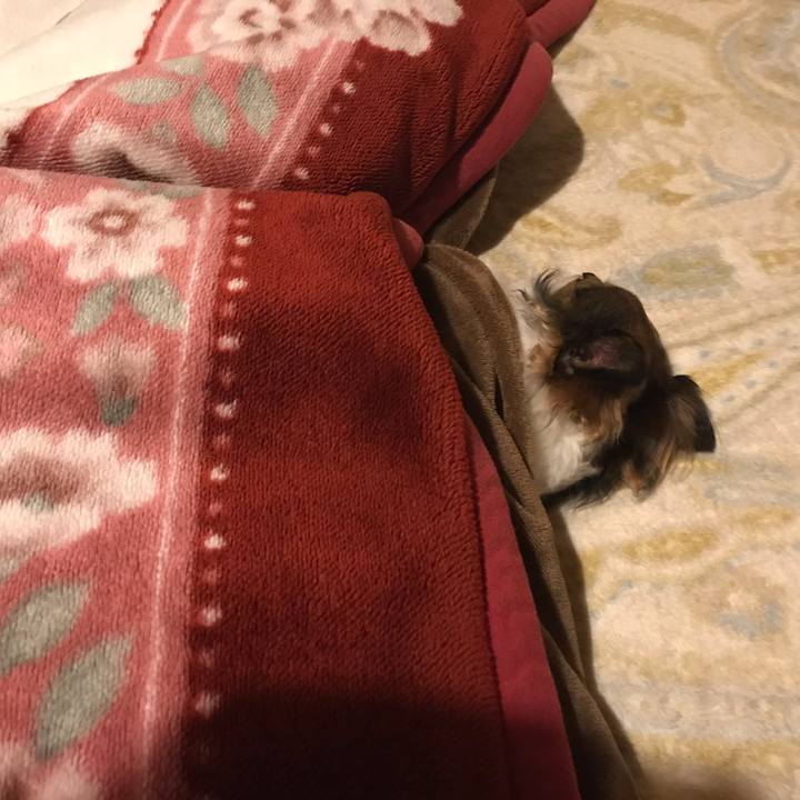 3eceb506 217c 4397 acf7 250ed926f9c3 1587395005023