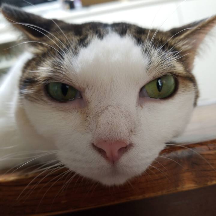 3eceb704 a8bc 41c9 af42 0d07b6b60617 1568414676977