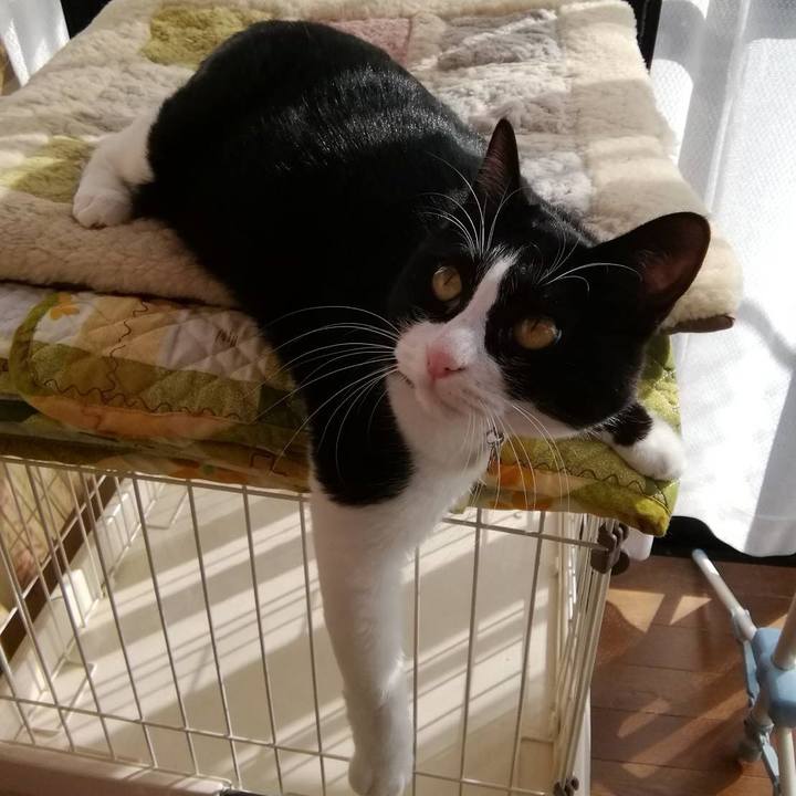 3eceb983 8c99 46be 856e 9f120fe70862 1602820554310