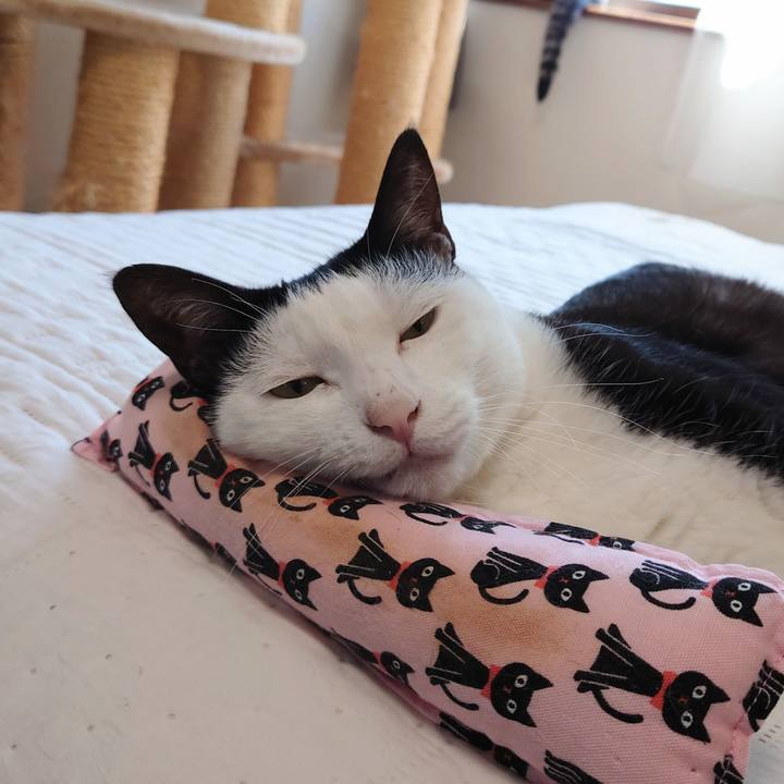 3eced73d e1b5 468e a46f c59a13dadb9f 1632448456757