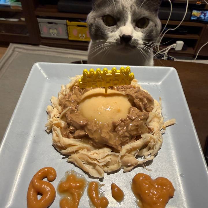 3ecee64c 29d0 4627 9ab4 b2fb551b41a7 1766314535423