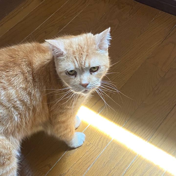 3ecf0521 baec 4375 92e2 7ed1519b7729 1587871327903