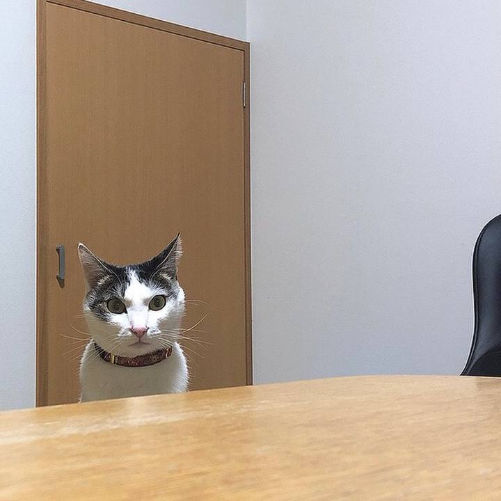 3ecf0d75 54e3 4e2e 9e22 9ce47dddc6f0 1651231305984