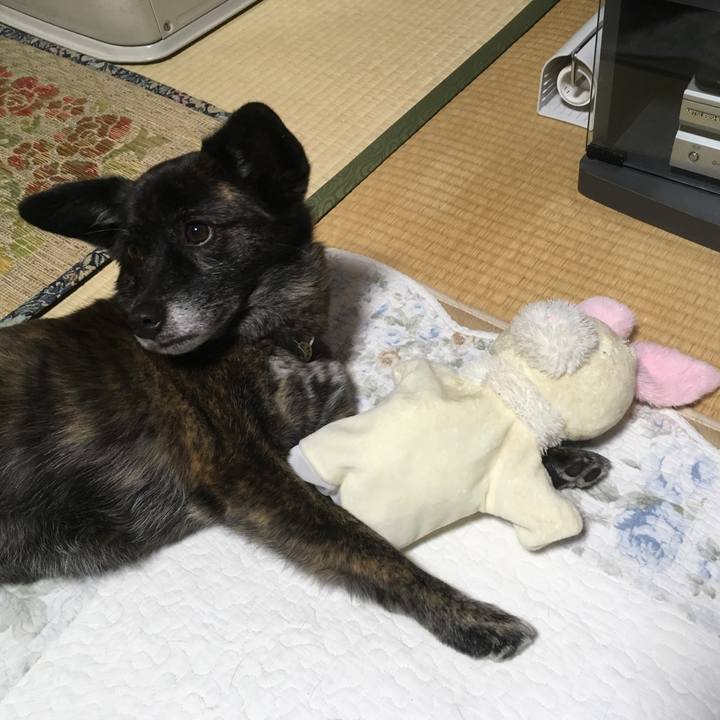 3ecf1c65 a1ac 469a a111 4c5e9b194f6d 1551970450988