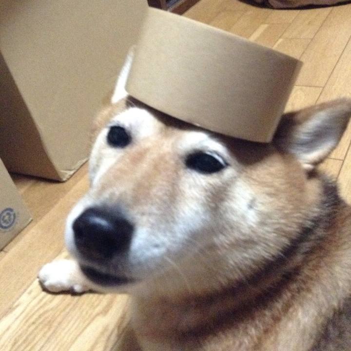 3ecf30f5 3e22 499e b086 b7189bd9b255 1531475319512