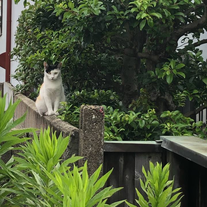 3ecf3653 b7dc 4a03 b4c0 edbef9810dba 1628843552468