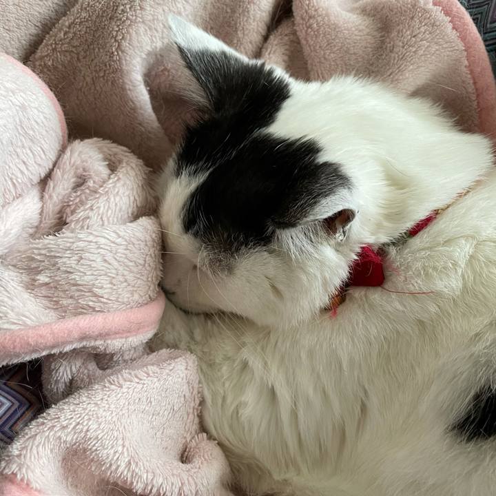 3ecf87e0 5af9 4c72 bd93 88c17befbfef 1618532287417