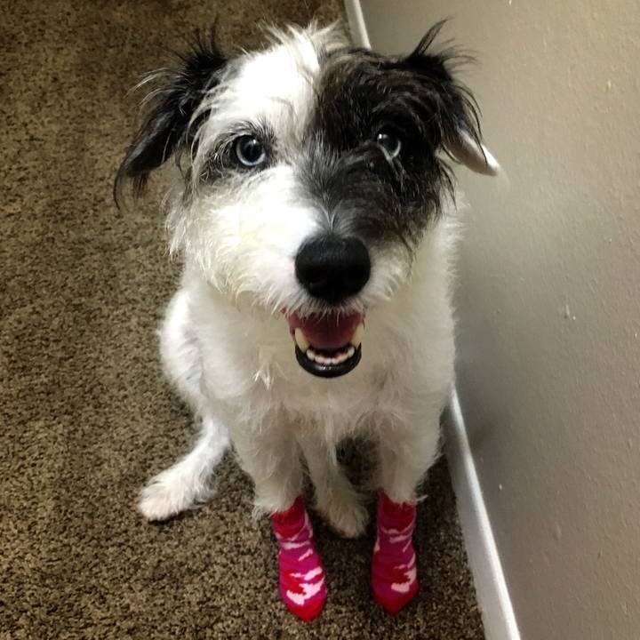 3ecf942a 2497 466b bf8b 3e9065a3d168 1538086089650