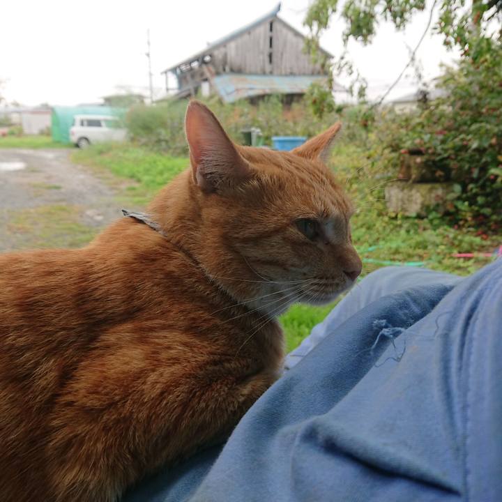 3ecfb643 dd56 4876 8f27 fd75bcfed861 1571447108117