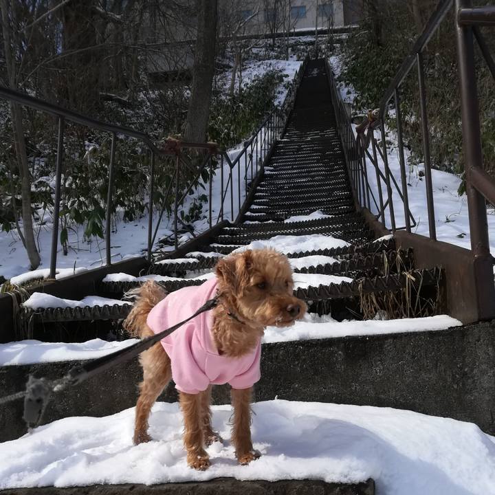 3ecfeaf8 4234 434a 929e 2f855793be24 1553407360333