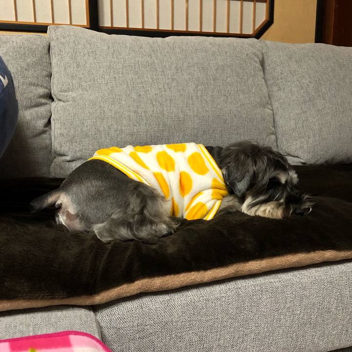 3ecfed18 ff22 48f6 a3eb 040f3ba151e1 1581945980179