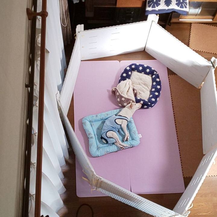 3ed02425 f61b 4139 add5 33aff264b66c 1558214223218