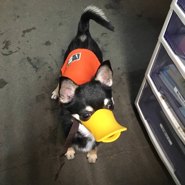 3ed0432e a2b8 4d2a 9039 3b619d75a1fd 1522125722161